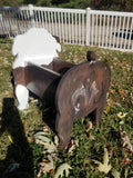Custom dog planter