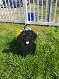 Planter - Dauschund - Black