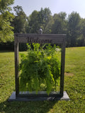 Plant Stands/Flag Holder- Gray with Black Distress