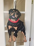 Rottweiler - Red Collar